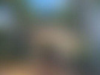 Vereador Juninho Dias solicita informações sobre o cronograma de manutenção do Jardim Botânico de Americana