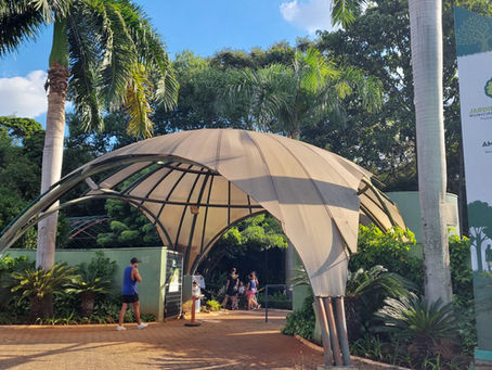 Vereador Juninho Dias solicita informações sobre o cronograma de manutenção do Jardim Botânico de Americana