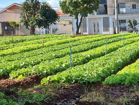 Vereador Juninho Dias pede informações sobre o processo de concessão e indica expansão das hortas comunitárias em Americana