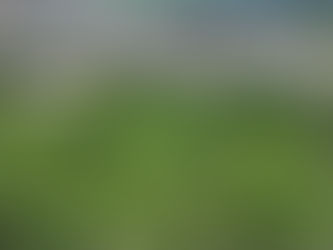 QUESTIONADOS OS PROGRAMAS DE HABITAÇÃO NO MUNICÍPIO DE AMERICANA