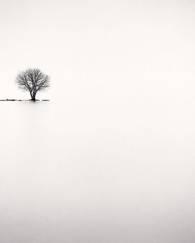 8ff20efa8f73617badc01a41cb31811b.jpg