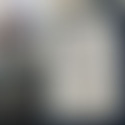 A Guinness World Records™ Moment in Sydney — And a Powerful Lesson in Networking Skills