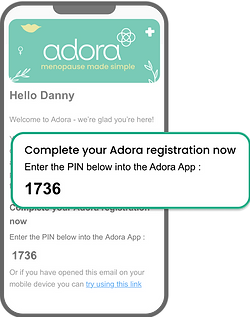 Email PIN (8).png