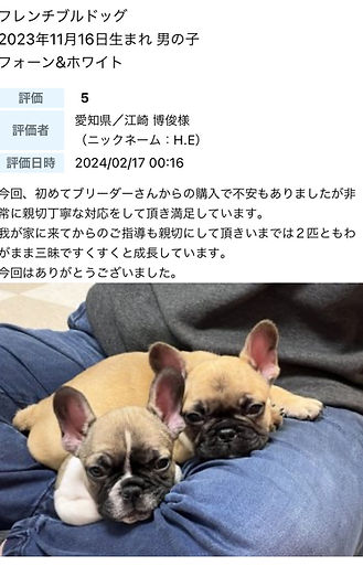 お