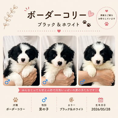 A2623FC0-9696-4DC1-8267-A4500115BB8A.png