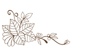 1178656 (2)_edited.png