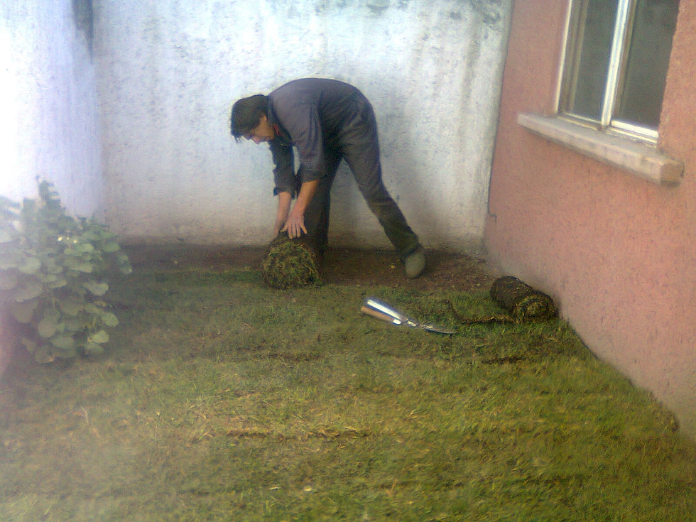 Foto0215