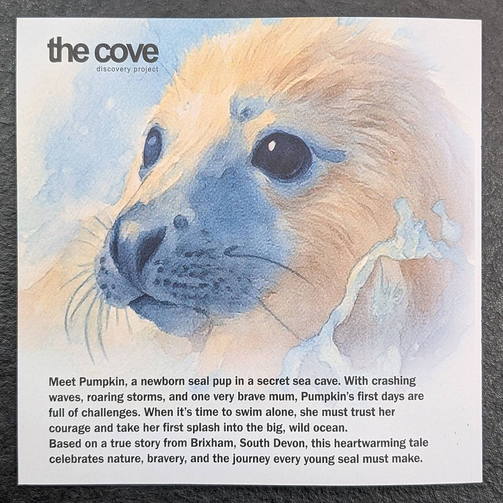 A Seal Pup Story (Blurb)