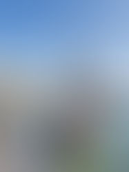 Replica of the Golden Hind ship moored in Brixham Harbour, reflecting the town’s maritime heritage and its evolving future in sustainable coastal tourism and marine conservation.