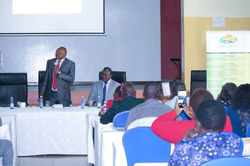 53095723_611310436001608_176195496676058