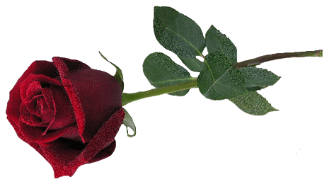 31333c_57a41bbc0dc34ecfaa27ef17874ff0cc_