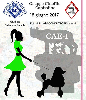 cae1.jpg