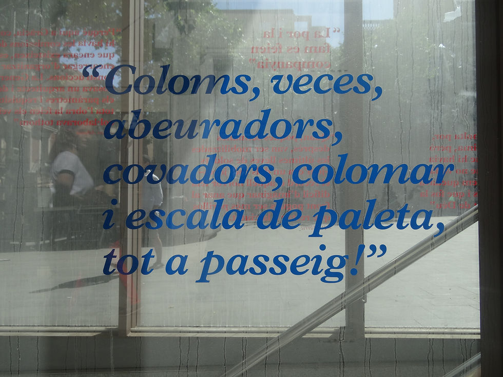Fragments del llibre
