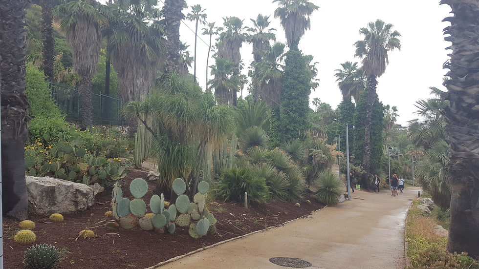 Jardins Mossèn Costa i Llobera