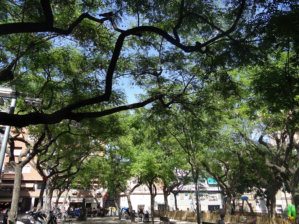 Plaça del Nord