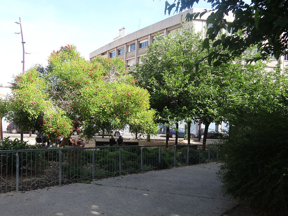 Jardins del Mestre Balcells