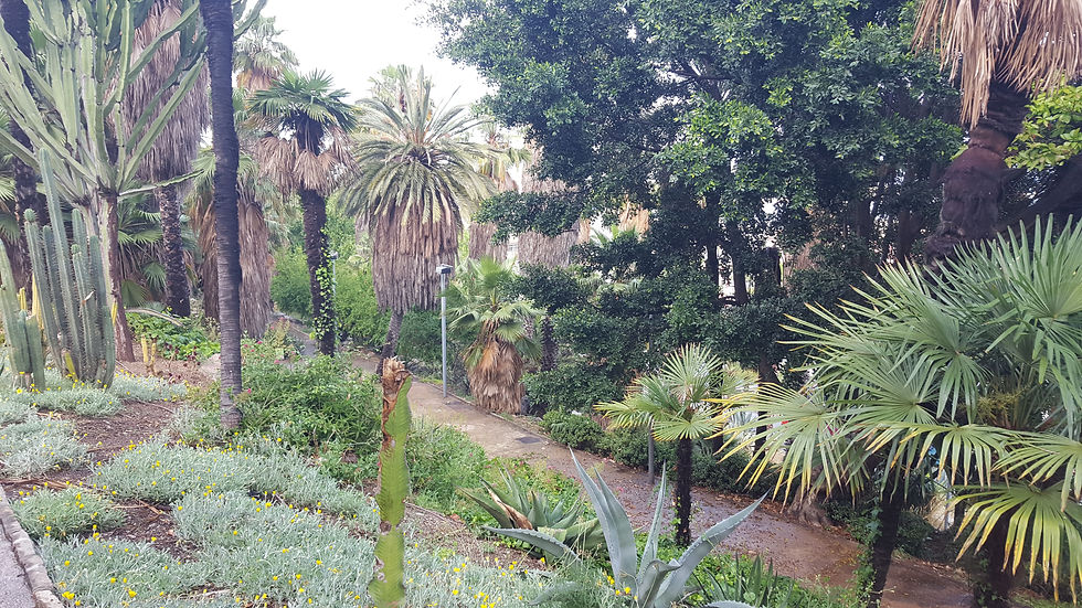 Jardins Mossèn Costa i Llobera