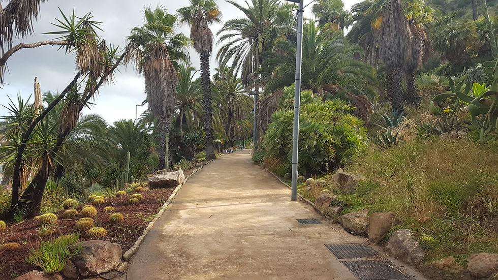 Jardins Mossèn Costa i Llobera