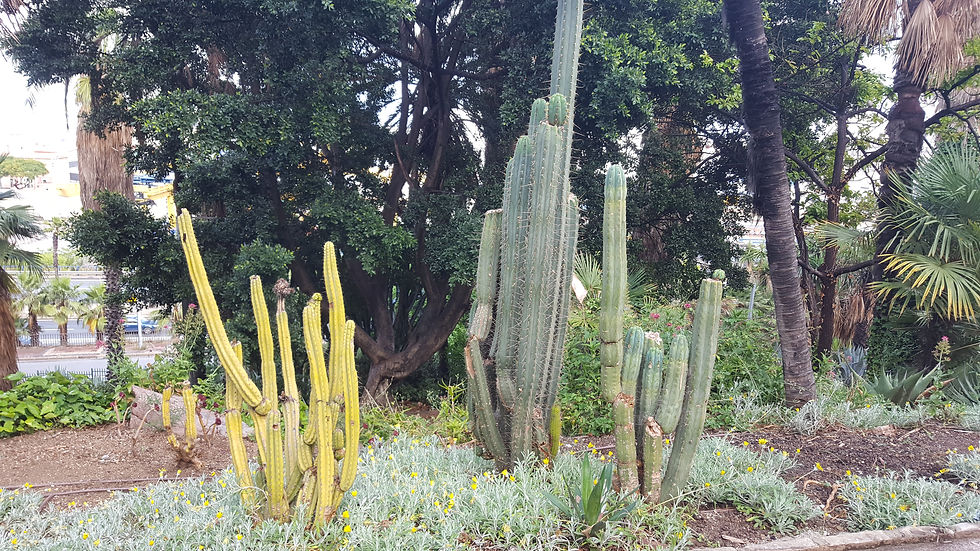 Jardins Mossèn Costa i Llobera