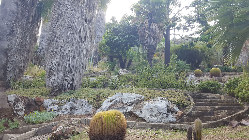 Jardins Mossèn Costa i Llobera