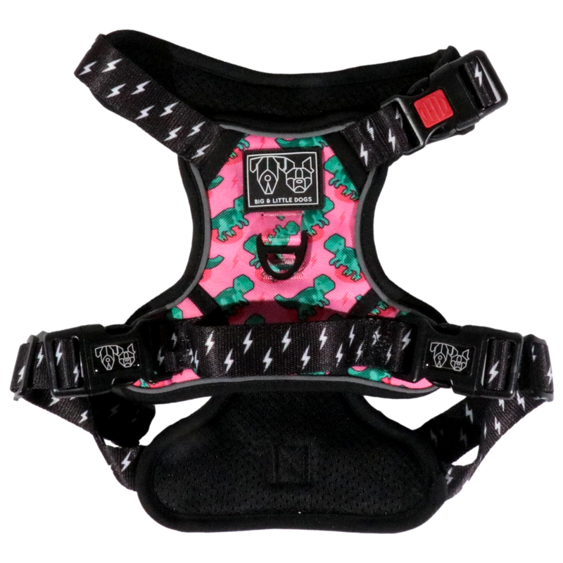 Princess-asaurus ~ All Rounder Harness