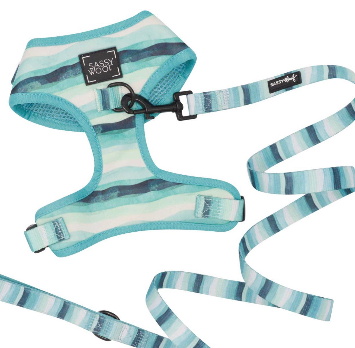 Sassy Set ~ Barks & Caicos