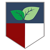 LSTO Shield (1).png