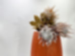 Aurora Vase colori da Vivere.jpg