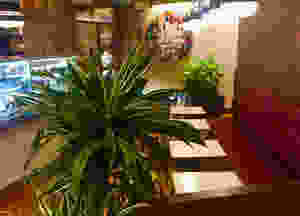 Manouche Bistro