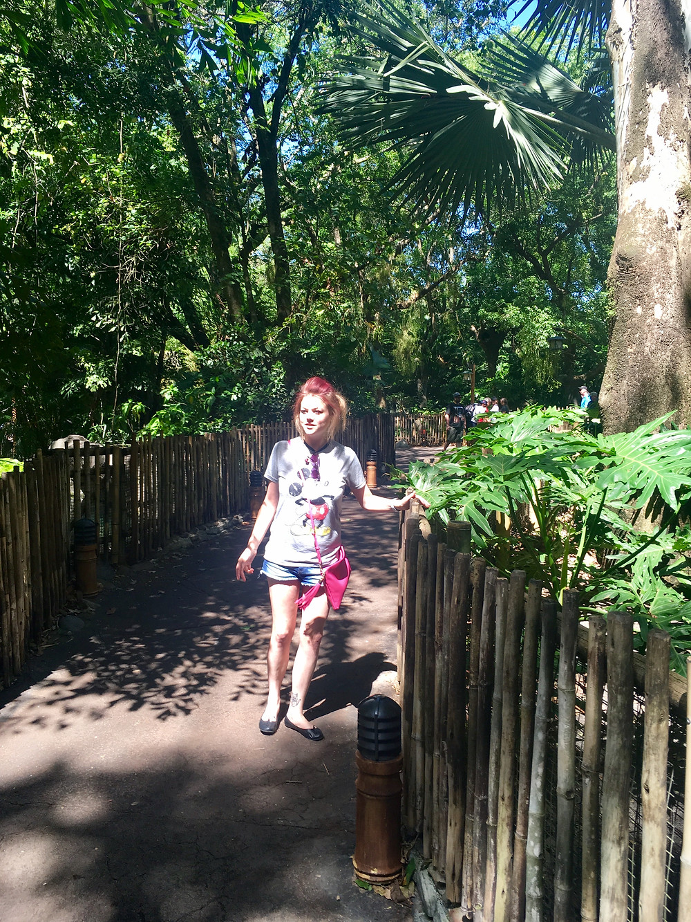 What To Do On A Weekend In Florida
