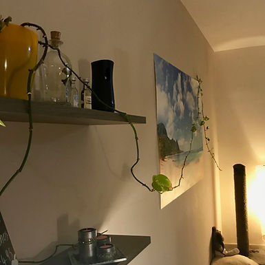 Decorate Your Home with Photowall
