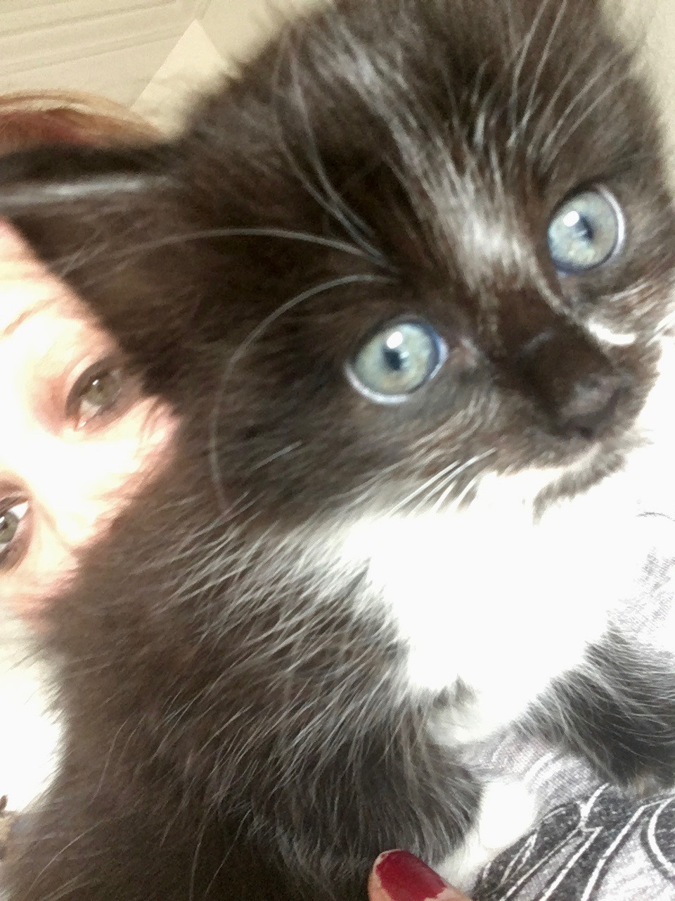 Pet Photography