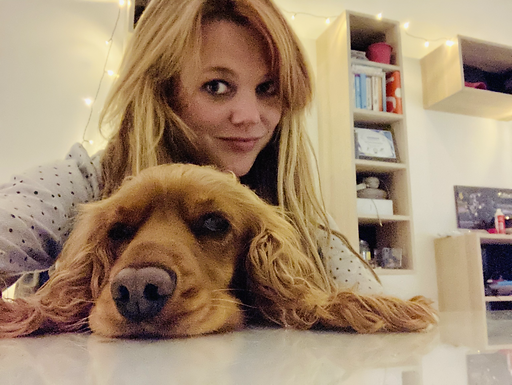 Travelling Well with Your Dog