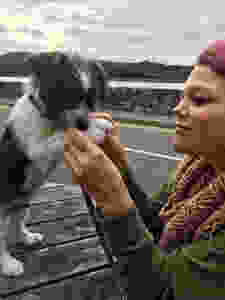 freshpet