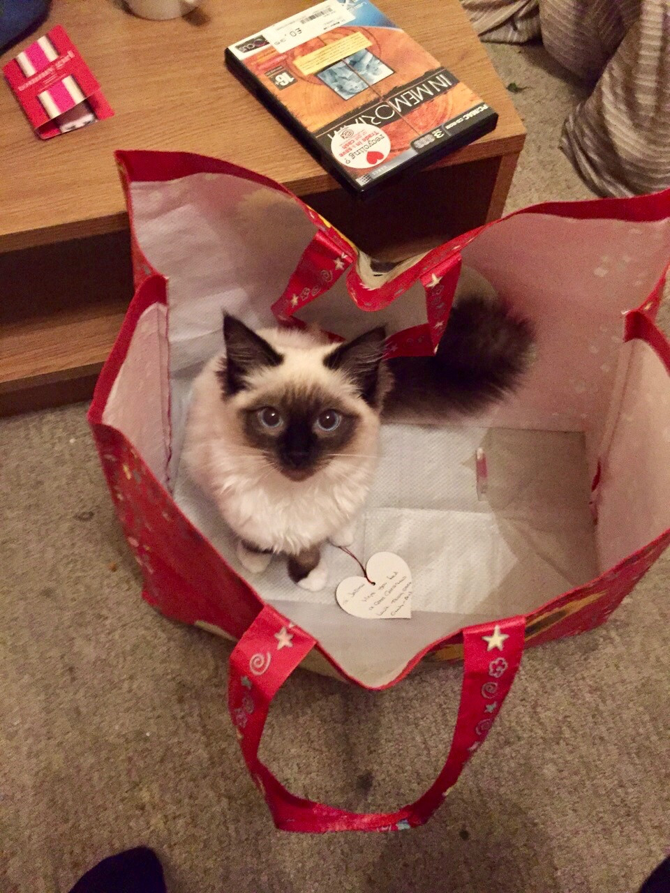 Budget-Friendly Stocking Fillers For Fashionistas