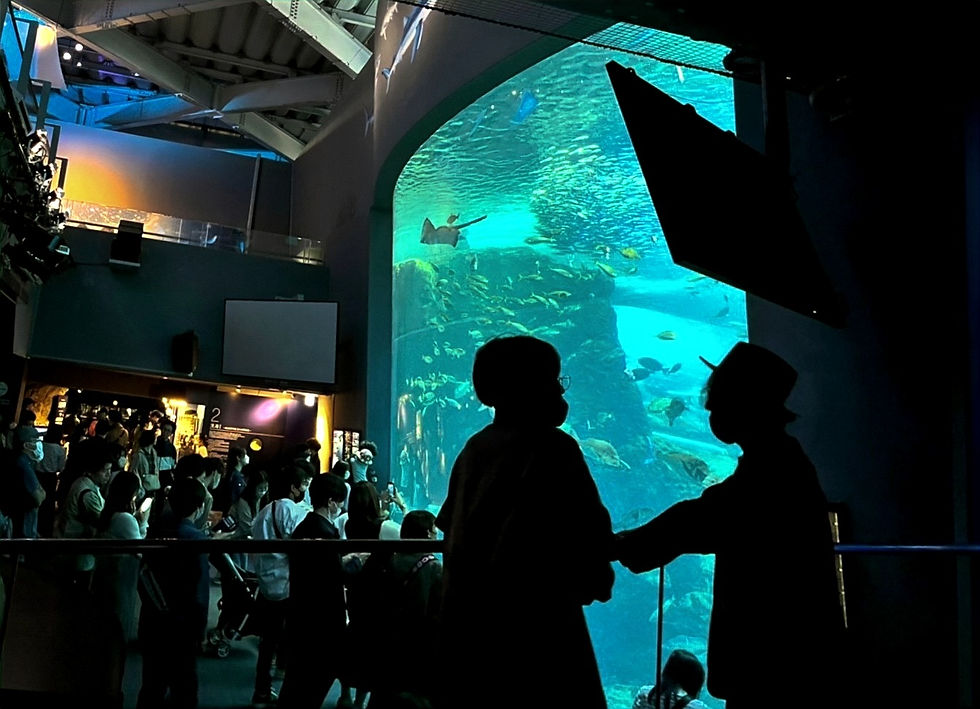 江の島水族館