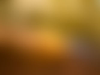 SUNINEN IN THE FIGHT FOR THE PODIUM