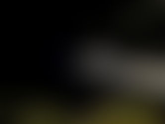 JUNIOR WRC NEWS FLASH: TOUR DE CORSE, SECTION FIVE