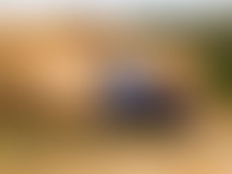 M-SPORT’S ROLLERCOASTER WEEKEND ON SAFARI RALLY KENYA