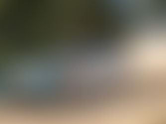 M-SPORT’S EMERGING FAB FOUR TO THE FORE IN ESTONIA