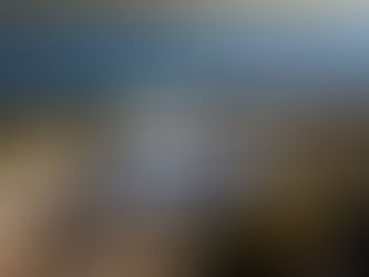 FIESTAS PROGRESS IN TURKEY