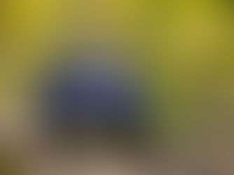 M-SPORT TRIO TAKE TO TARMAC ACROSS THREE NATIONS