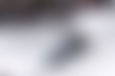 LAPPI ON THE HUNT FOR FOURTH