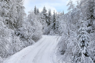 CHASING SUCCESS ON SWEDEN’S SNOW STAGES