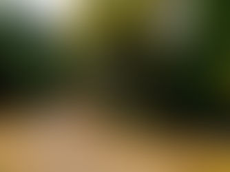 M-SPORT FORD WORLD RALLY TEAM PREPARED FOR PENULTIMATE CHALLENGE IN JAPAN