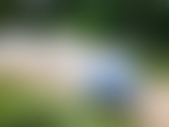 M-SPORT CREWS SUIT UP TO FIGHT IN FINLAND