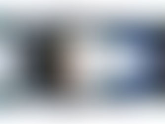 SUNINEN, GREENSMITH AND FOURMAUX IN 2021