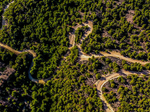 GRAVEL SEASON BEGINS AS M-SPORT TURNS ATTENTION TO GREECE