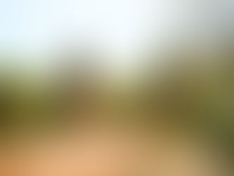 ARGENTINA AWAITS FOR M-SPORT FORD