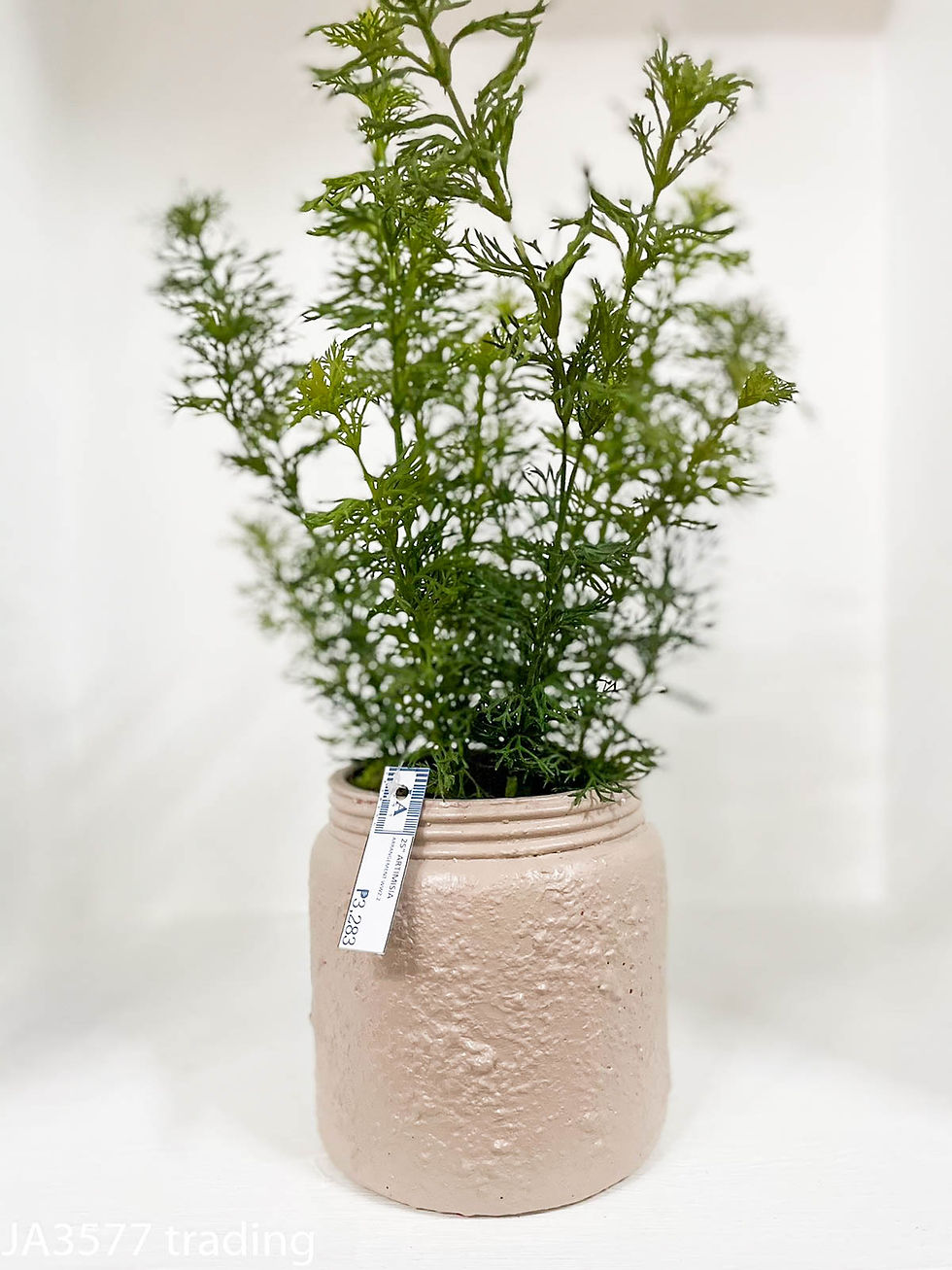 Thumbnail: Artemisia Arrangement